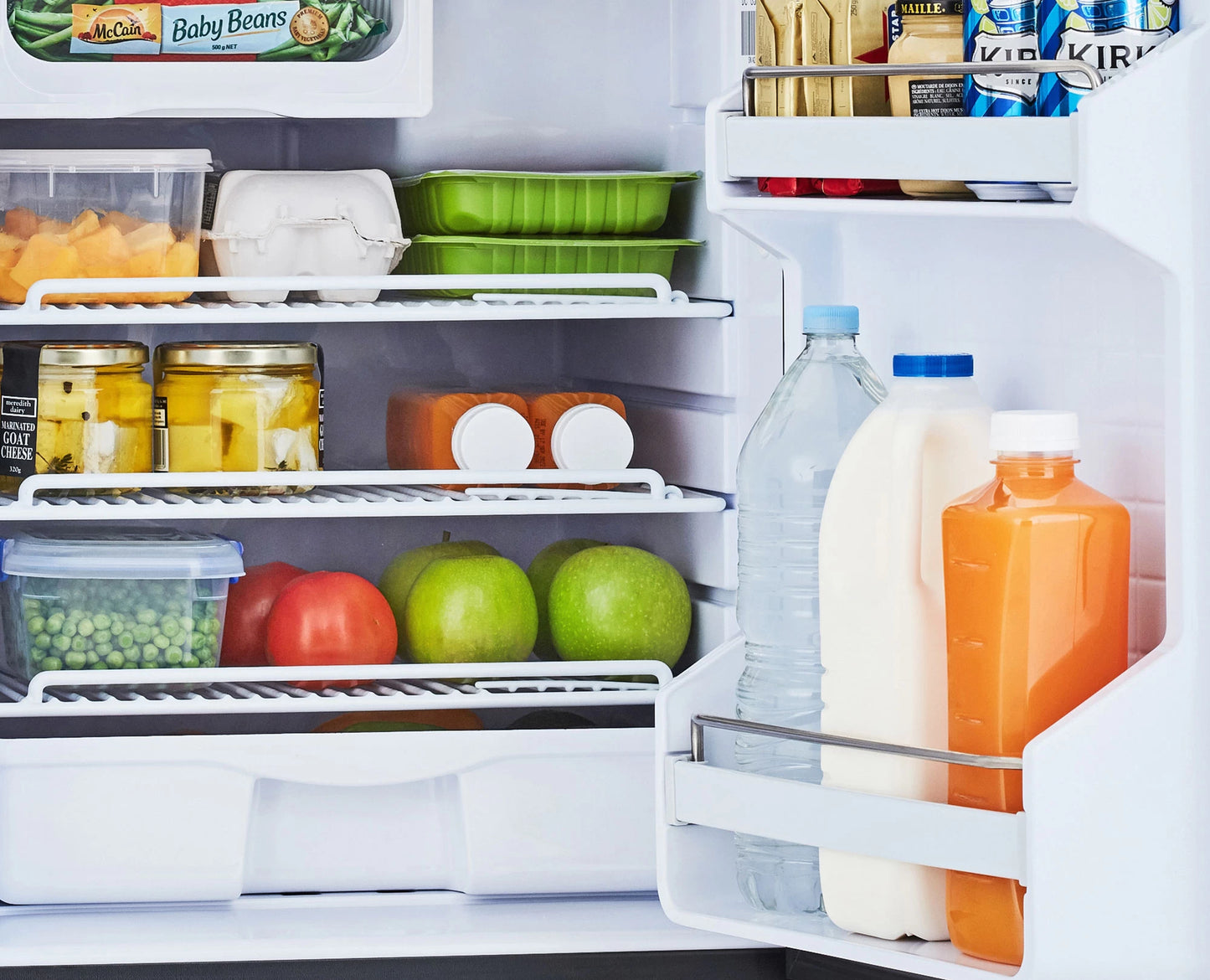 BUSHMAN UPRIGHT FRIDGE 85L 12/24v