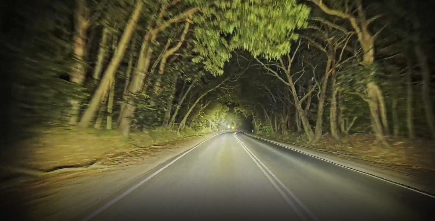 STEDI TYPE-X SPORT+ 8.5" BLACK (PR)