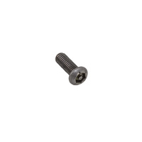 Rhino M6 x 16mm Stainless Button Security Screw (6 PACK)