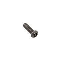 M6 x 20mm Button Security Screw (Stainless Steel) (6 Pack)