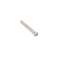 Rhino M6 x 50mm Stainless Button Security Screw (6 PACK)