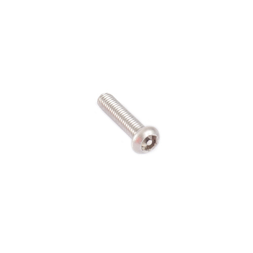 Rhino M6 x 25mm Stainless Button Security Screw (6 PACK)
