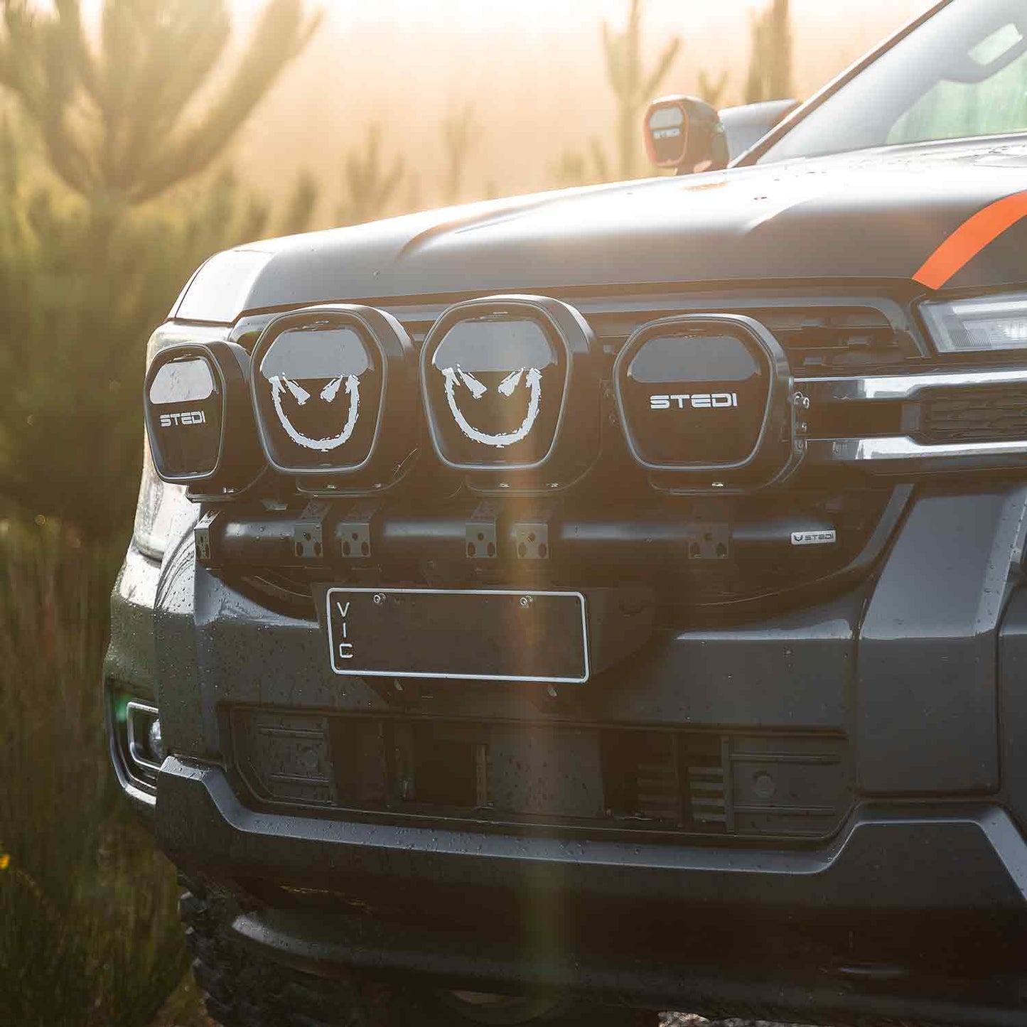 FORD NEXT-GEN RANGER & EVEREST STEDI RALLY BAR