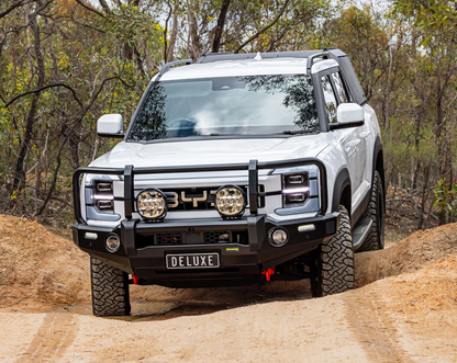 IRONMAN DELUXE BULL BAR | BYD SHARK 6